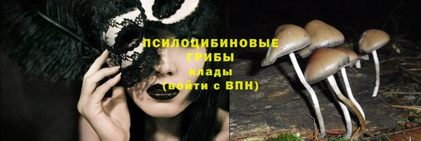 прущая мука Козловка