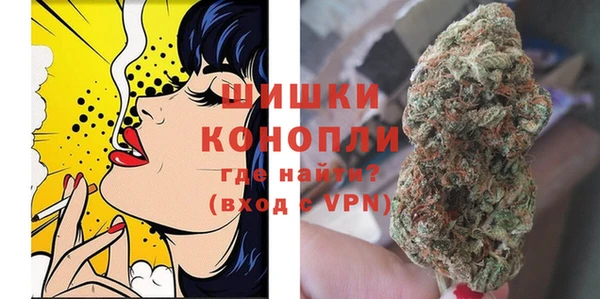 прущие грибы Кодинск
