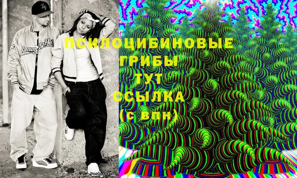 прущие грибы Кодинск