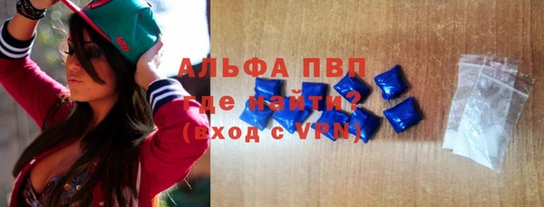прущие грибы Кодинск
