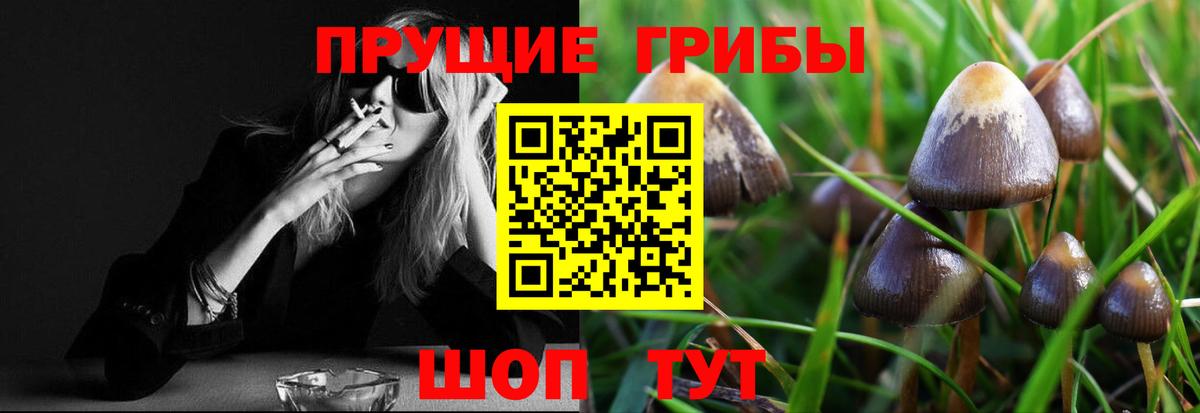 Кинешма  Галлюциногенные грибы мицелий  Галлюциногенные грибы GOLDEN TEACHER  Вход с VPN 